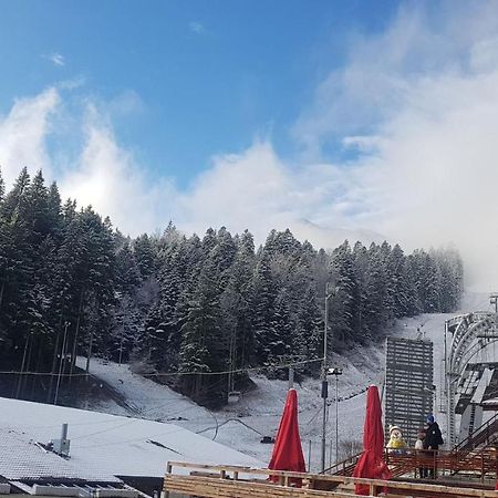 Apartament Lexannona Buşteni Exteriör bild