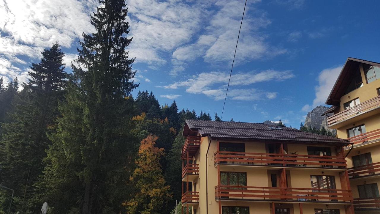 Apartament Lexannona Buşteni Exteriör bild