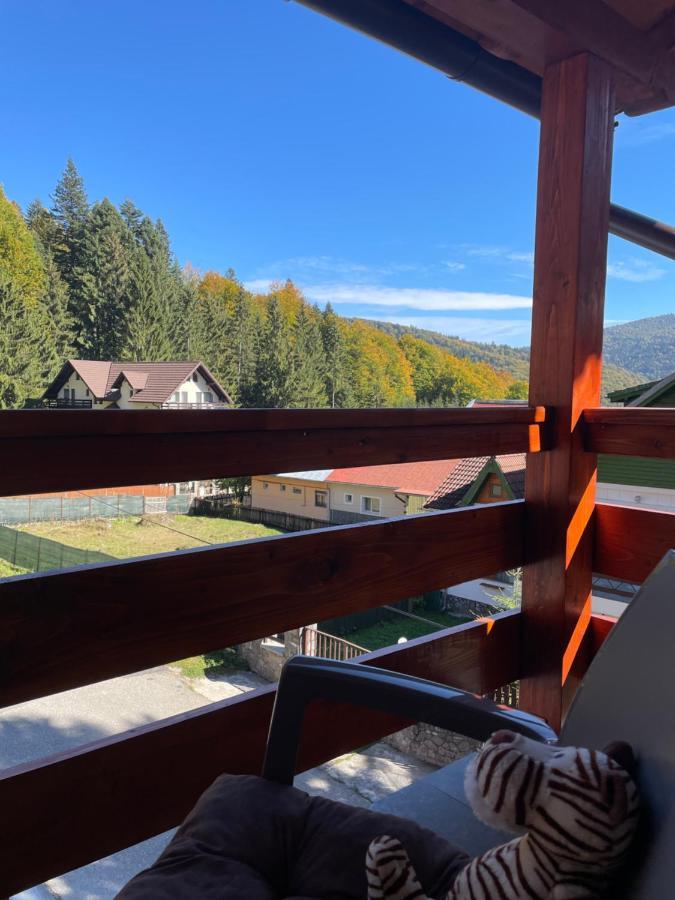 Apartament Lexannona Buşteni Exteriör bild