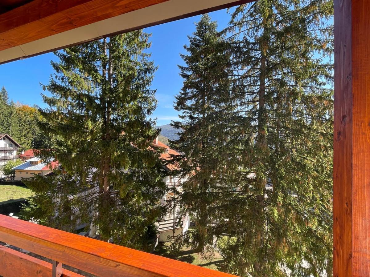 Apartament Lexannona Buşteni Exteriör bild