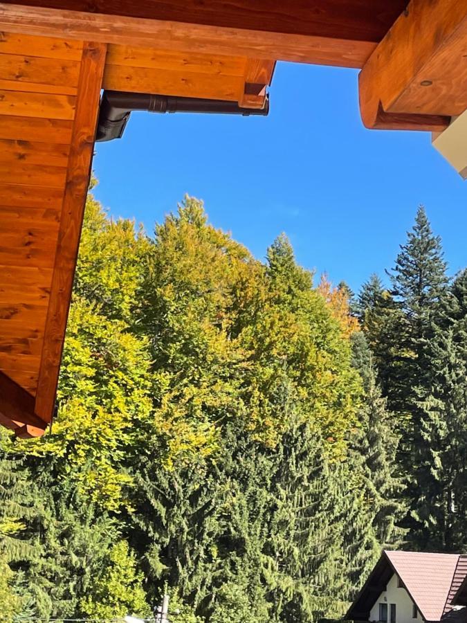 Apartament Lexannona Buşteni Exteriör bild