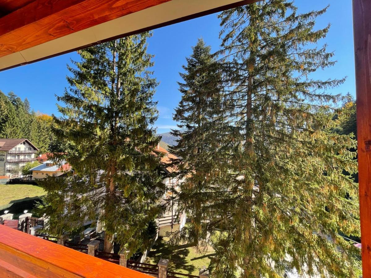 Apartament Lexannona Buşteni Exteriör bild