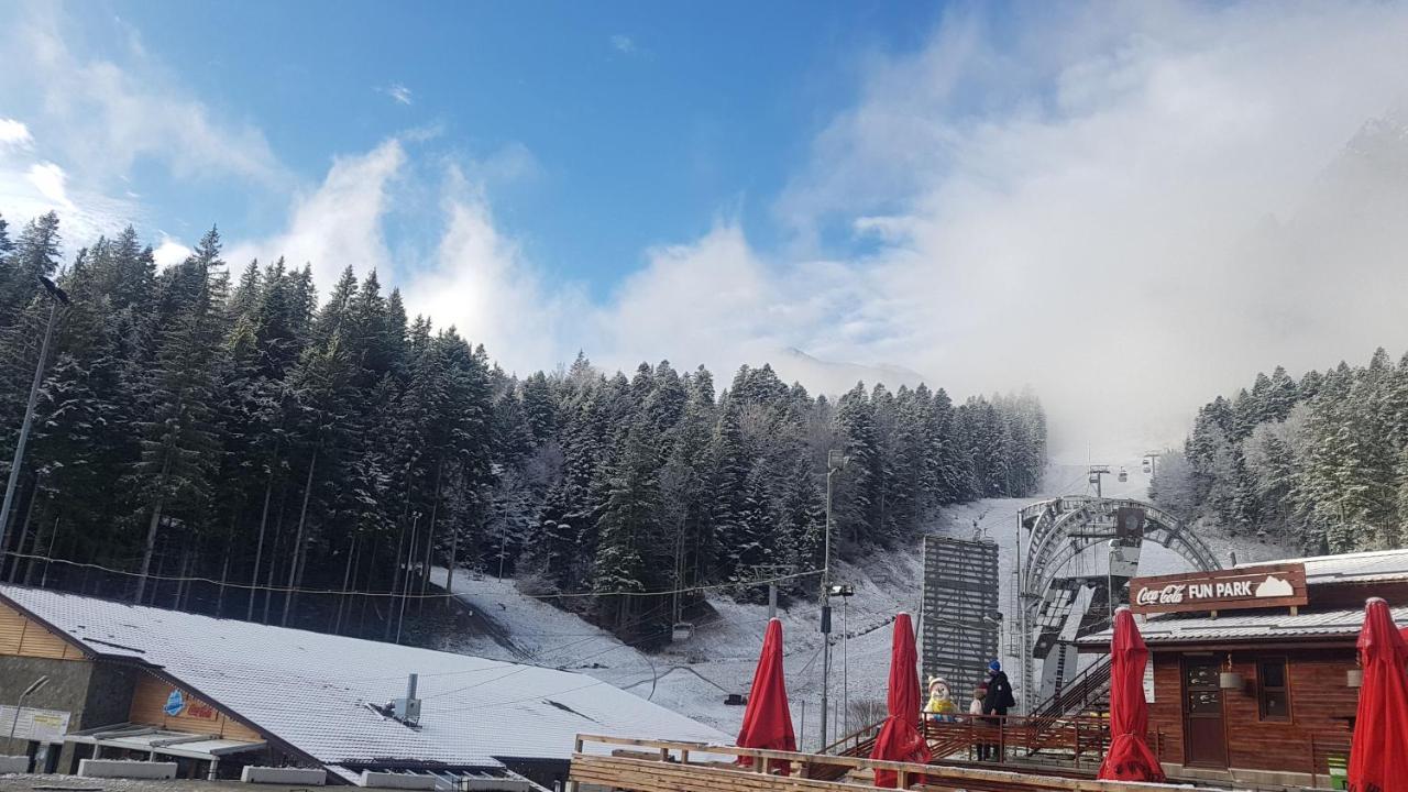 Apartament Lexannona Buşteni Exteriör bild