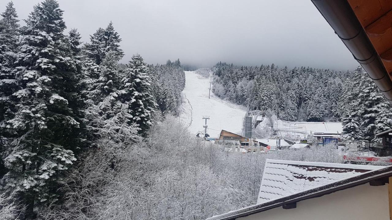 Apartament Lexannona Buşteni Exteriör bild